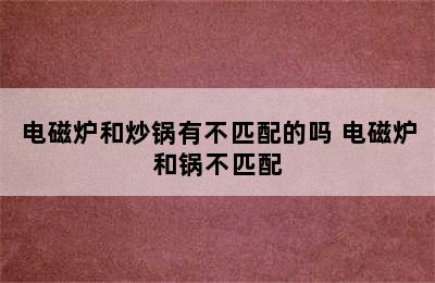 电磁炉和炒锅有不匹配的吗 电磁炉和锅不匹配